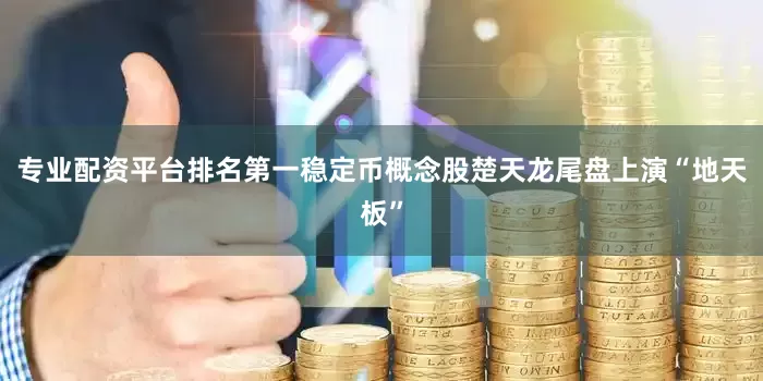 专业配资平台排名第一稳定币概念股楚天龙尾盘上演“地天板”