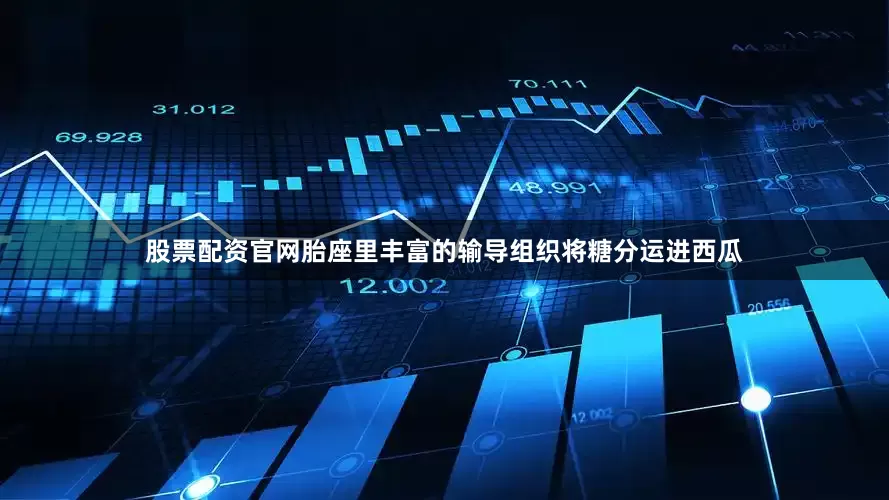 股票配资官网胎座里丰富的输导组织将糖分运进西瓜