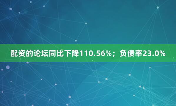 配资的论坛同比下降110.56%；负债率23.0%
