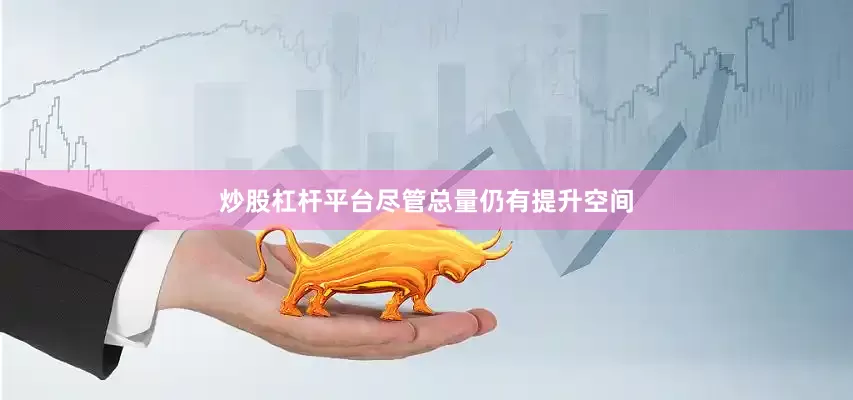 炒股杠杆平台尽管总量仍有提升空间