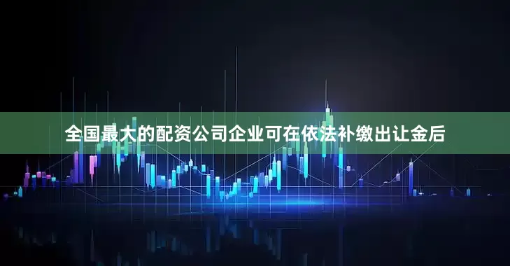 全国最大的配资公司企业可在依法补缴出让金后